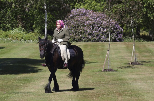 A picture of the Queen on one of her beloved fur ponies in May 2020.